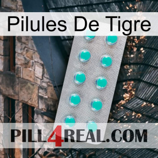 Tiger Pills 28
